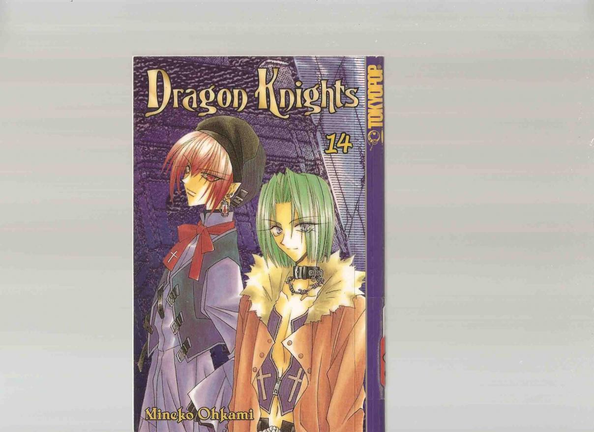 Dragon Knights Vol. 14 Ch. 77 A World Away (7)