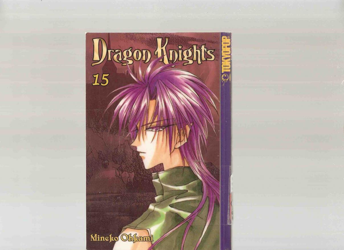 Dragon Knights Vol. 15 Ch. 83 A World Away (13)