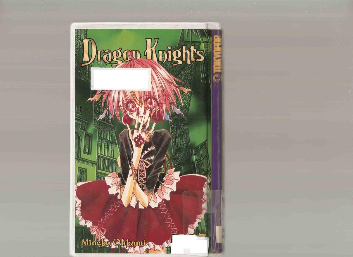 Dragon Knights Vol. 17 Ch. 95 A World Away (25)