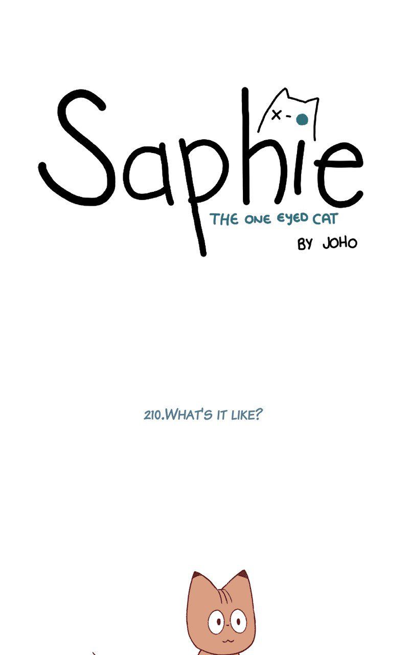 Saphie: The One-Eyed Cat 210