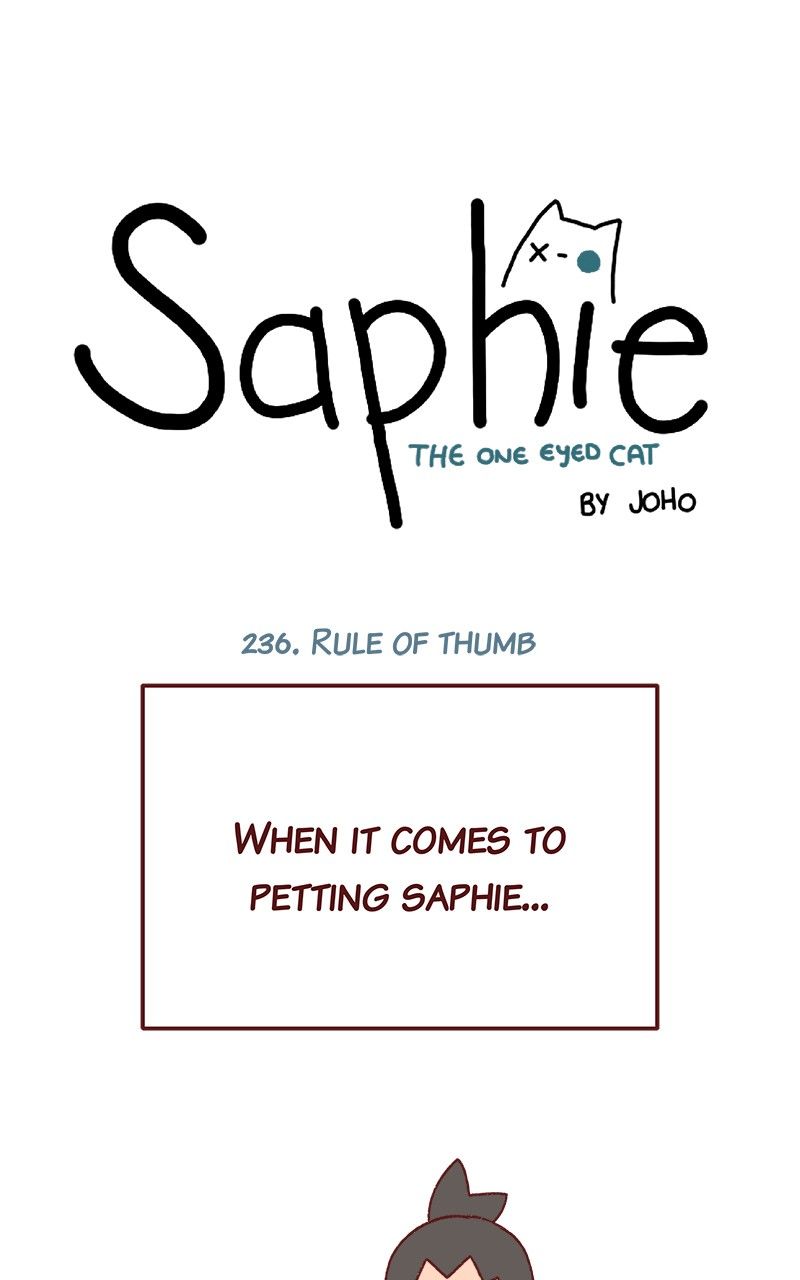 Saphie: The One-Eyed Cat 236