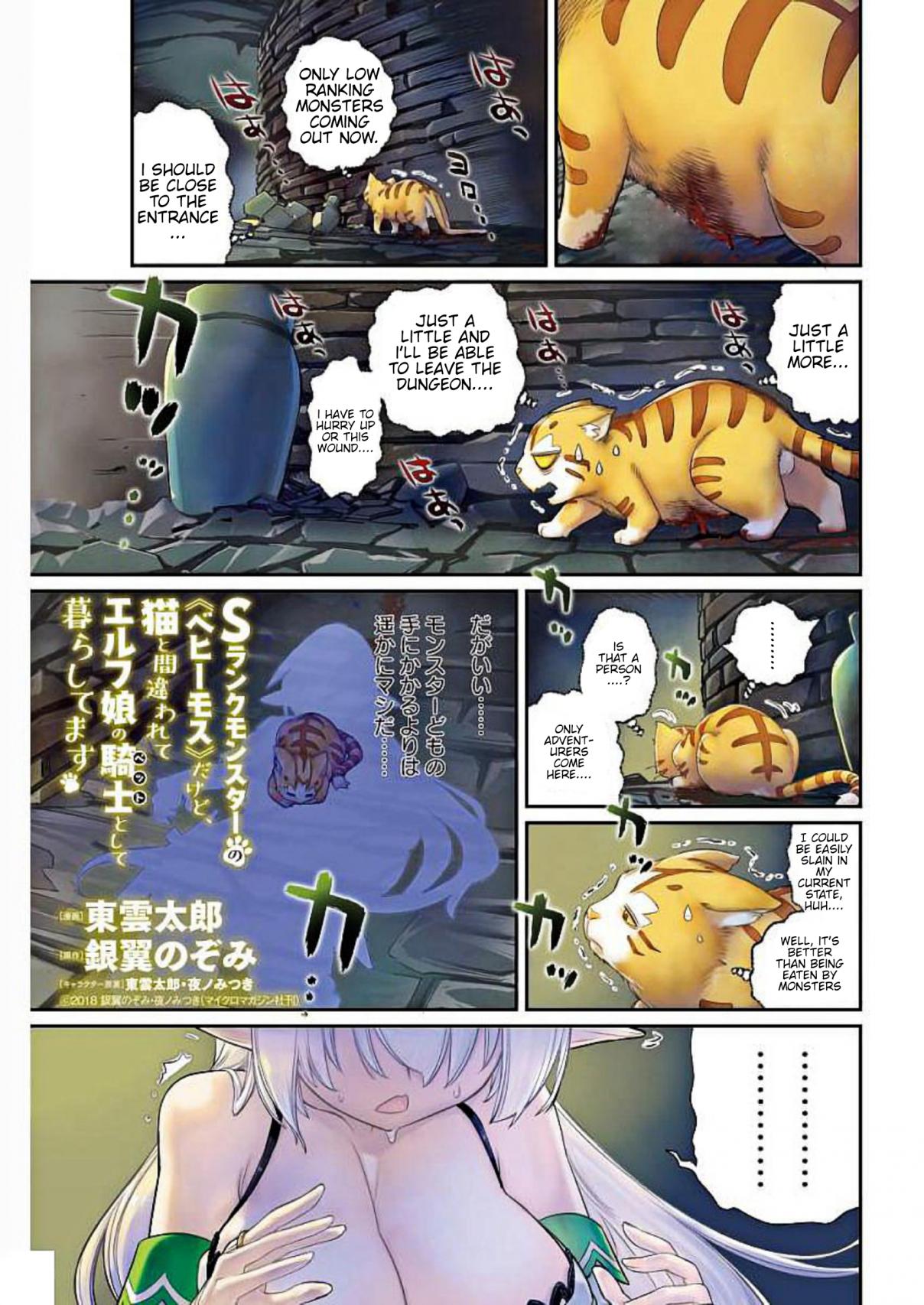 S Rank Monster No <Behemoth> Dakedo, Neko to Machigawarete Elf Musume No Kishi (Pet) Toshite Kurashitemasu Vol. 1 Ch. 1 A Knight's vow