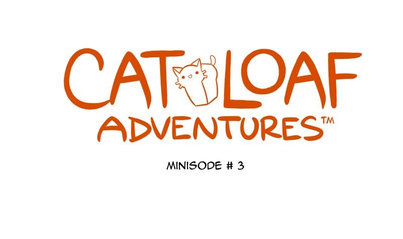 Cat Loaf Adventures 52