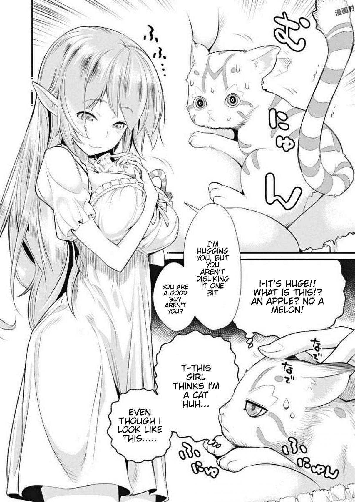 I Am Behemoth Of The S Rank Monster But I Am Mistaken As A Cat And I Live As A Pet Of Elf Girl Vol. 1 Ch. 1 A Knight's vow