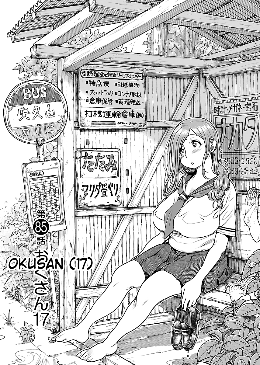 Okusan Vol. 13 Ch. 85 Okusan ( 17 )