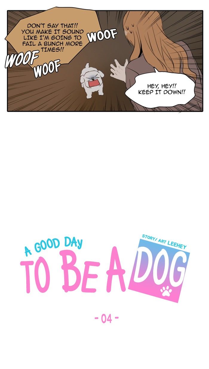 A Good Day to be a Dog 4