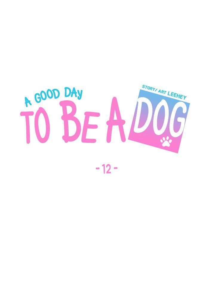 A Good Day to be a Dog 12