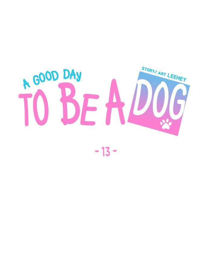 A Good Day to be a Dog 13