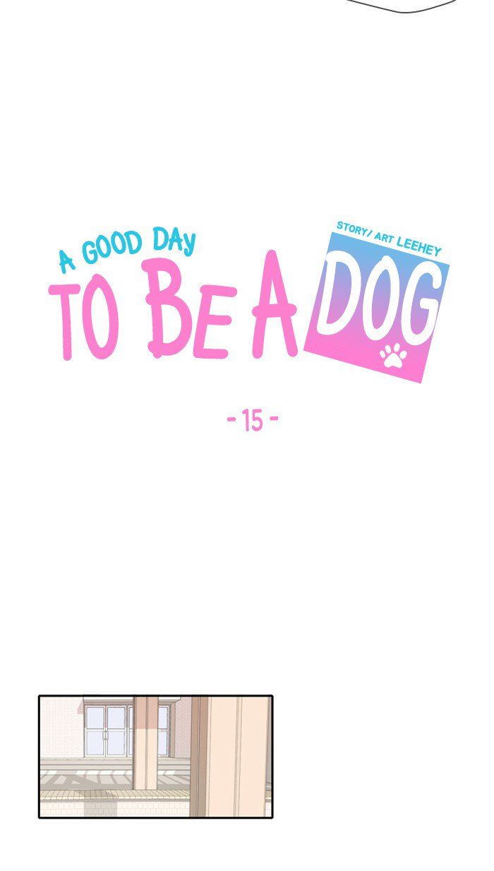A Good Day to be a Dog 15