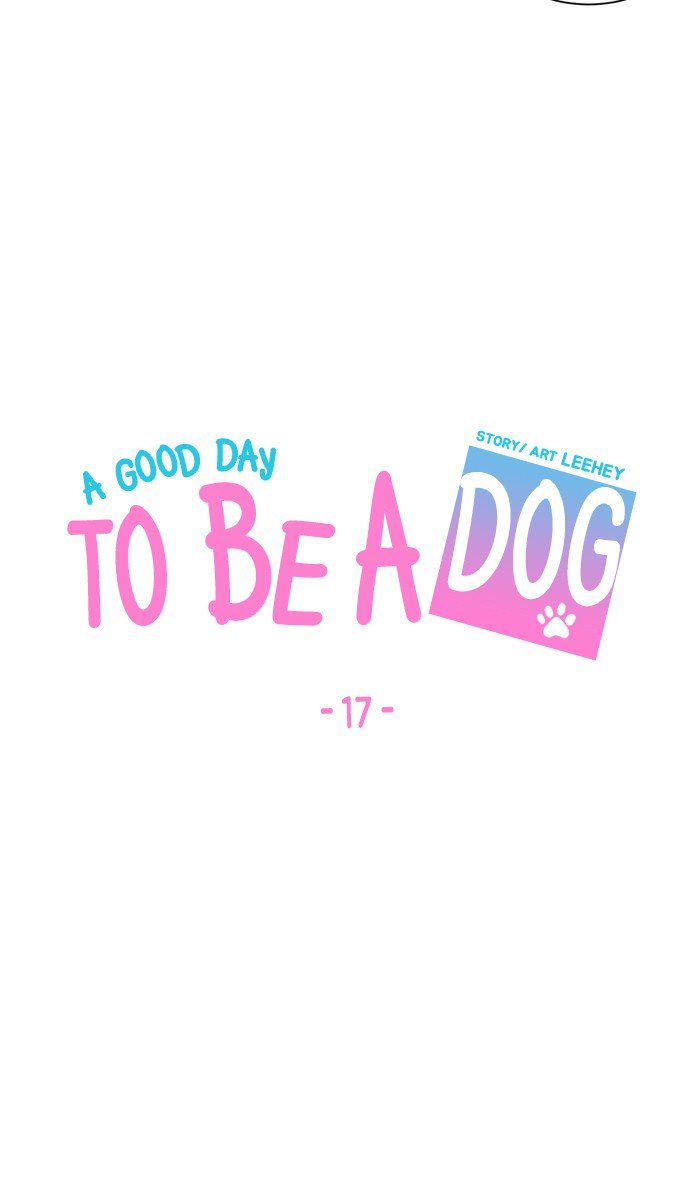 A Good Day to be a Dog 17