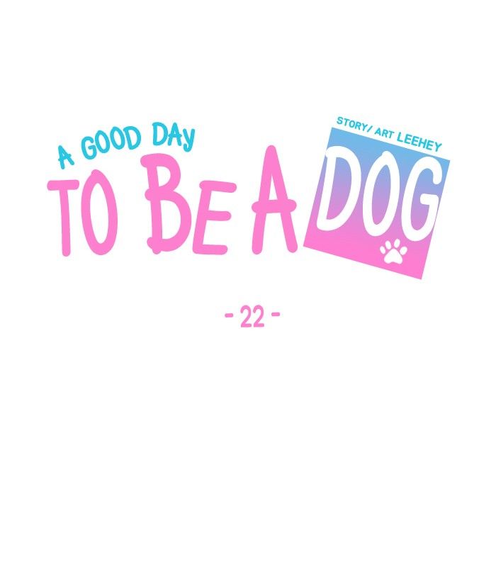 A Good Day to be a Dog 22