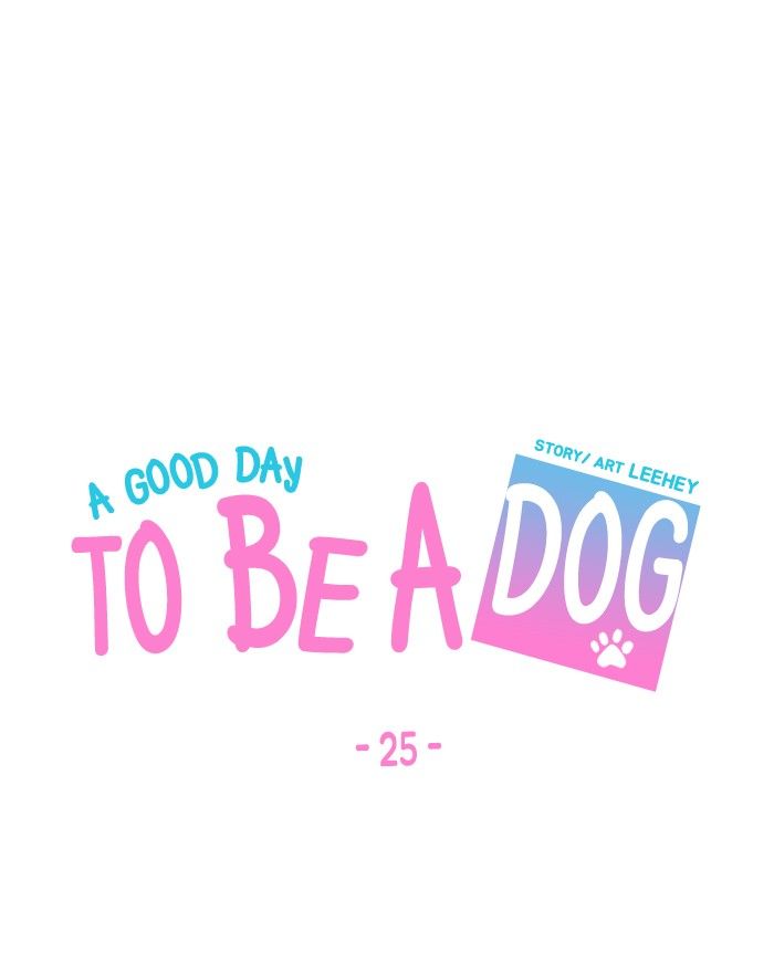A Good Day to be a Dog 25