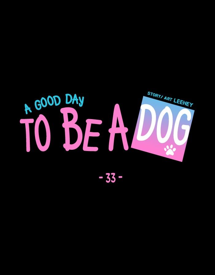 A Good Day to be a Dog 33