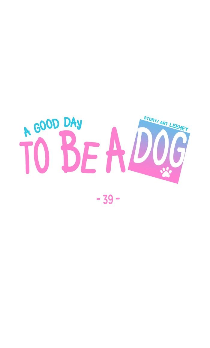 A Good Day to be a Dog 39