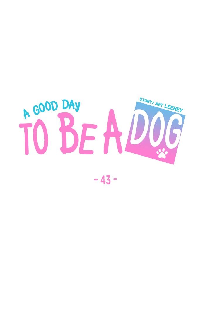 A Good Day to be a Dog 43