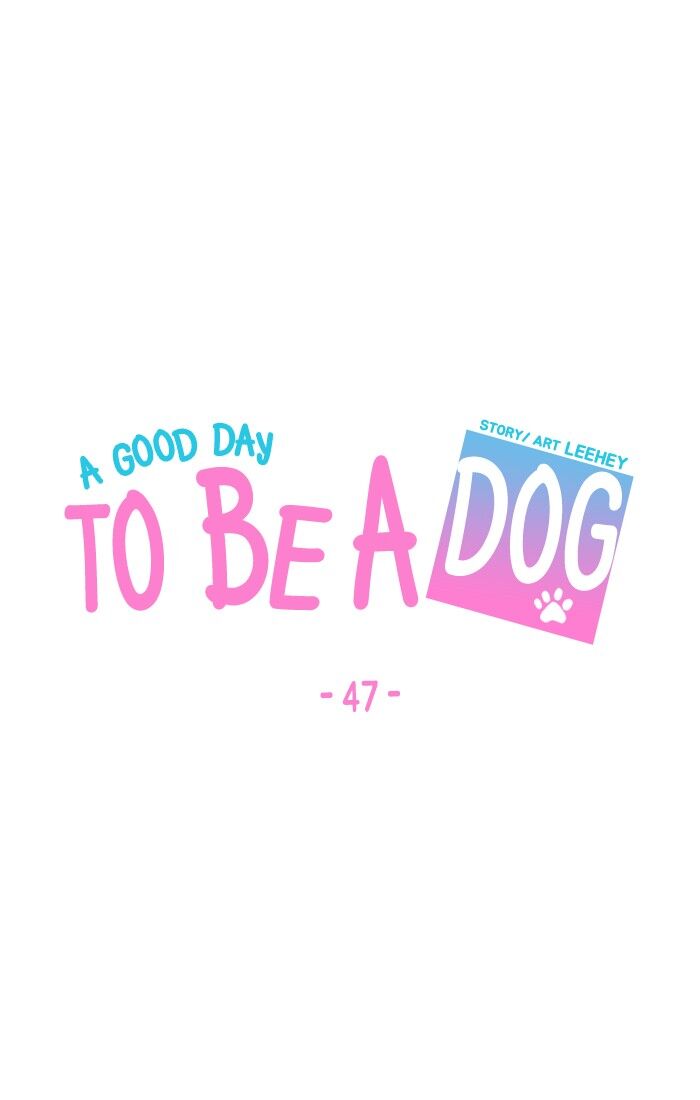 A Good Day to be a Dog 47
