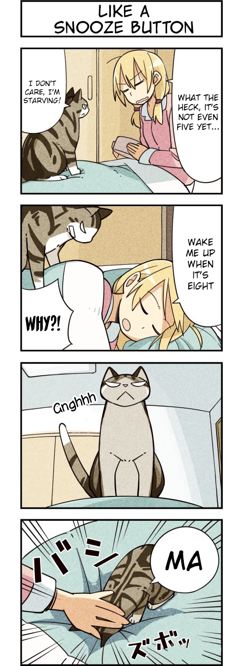 We are Cats Ch. 7