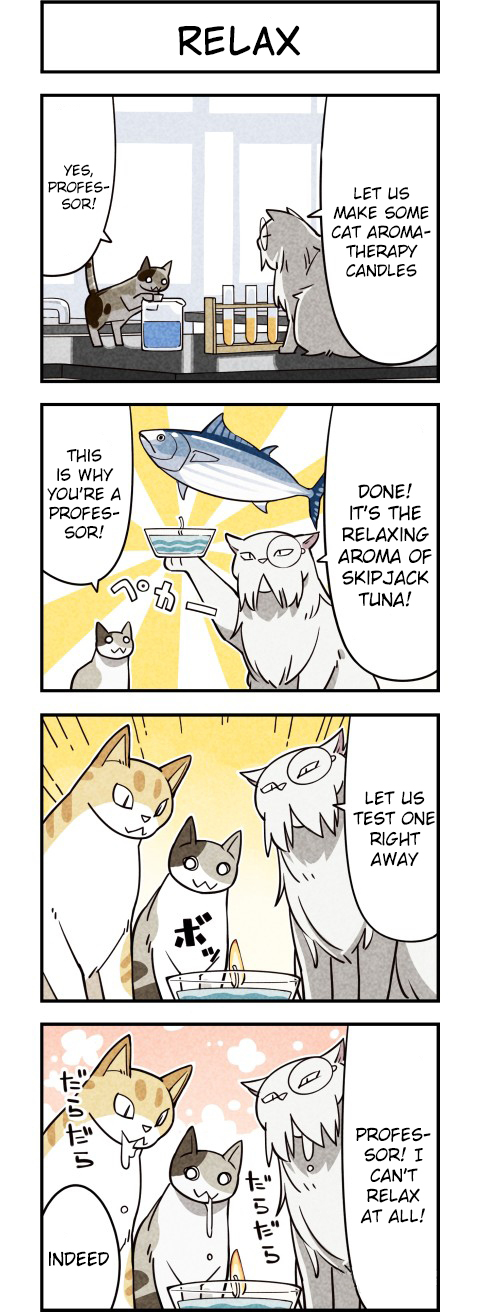 We are Cats Ch. 9