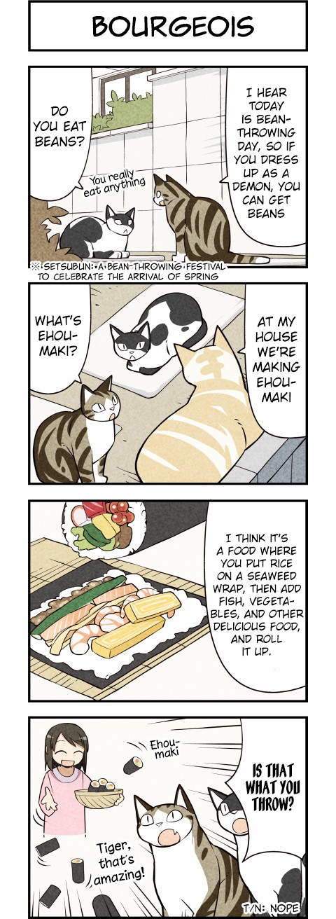 We are Cats Ch. 18