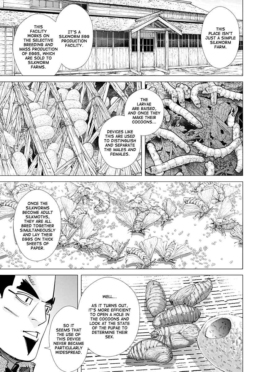 Golden Kamuy Ch. 175 Cocoon