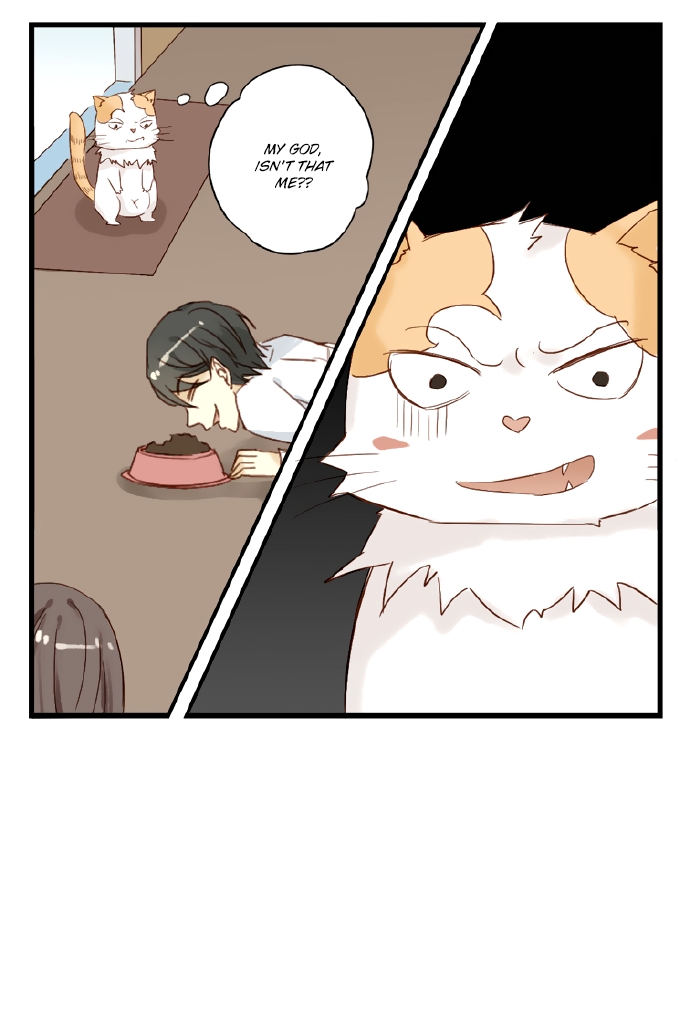 Mister Cat Ch. 18