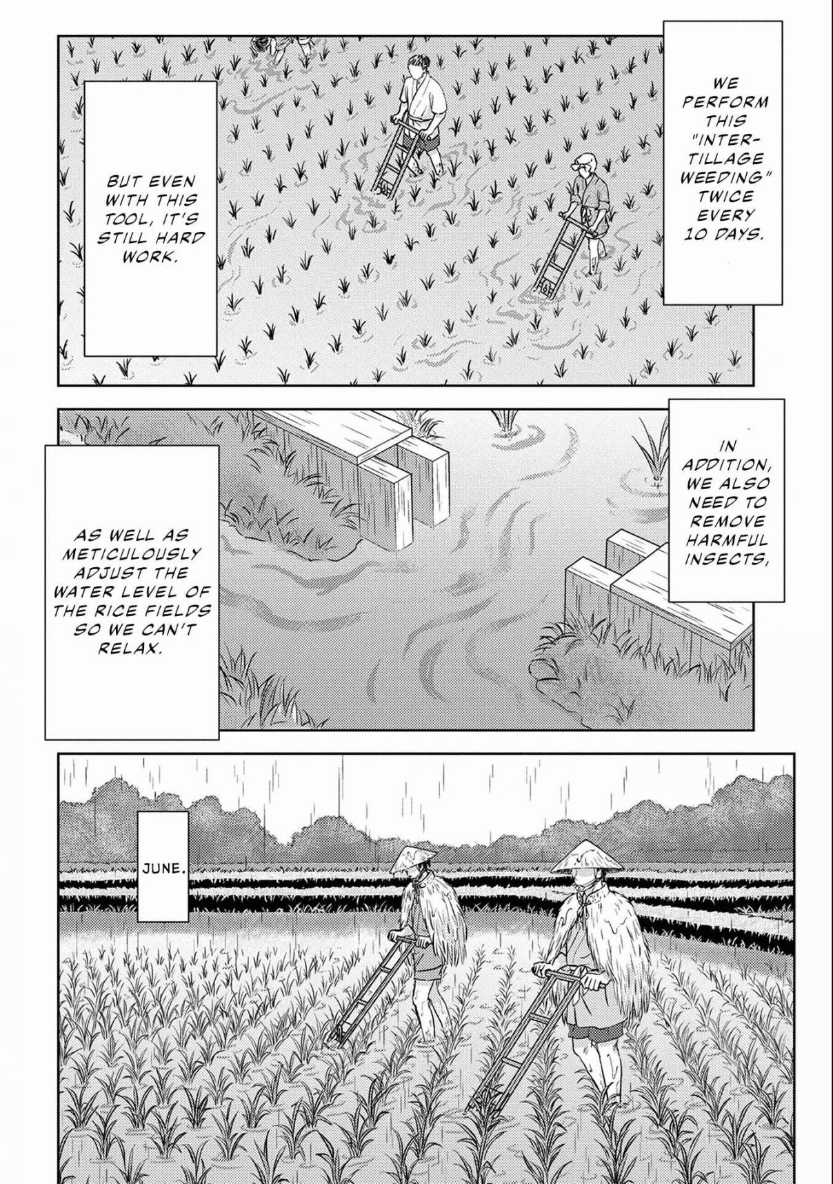 Sengoku Komachi Kuroutan: Noukou Giga Vol. 2 Ch. 6 Rice Cultivation