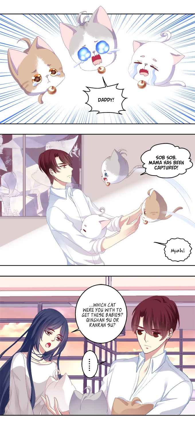 Love Story of Cat Spirit Ch. 23 Daddy, Mama has been captured by a strange guy!