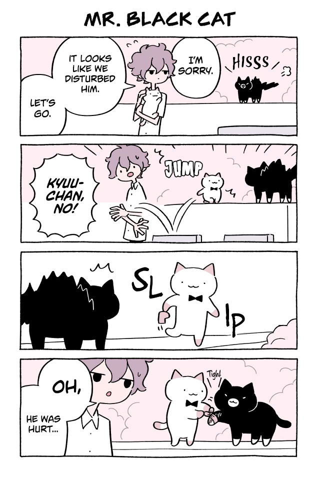 Fushigi Neko no Kyuu-chan Vol.4 Chapter 404: Mr. Black Cat