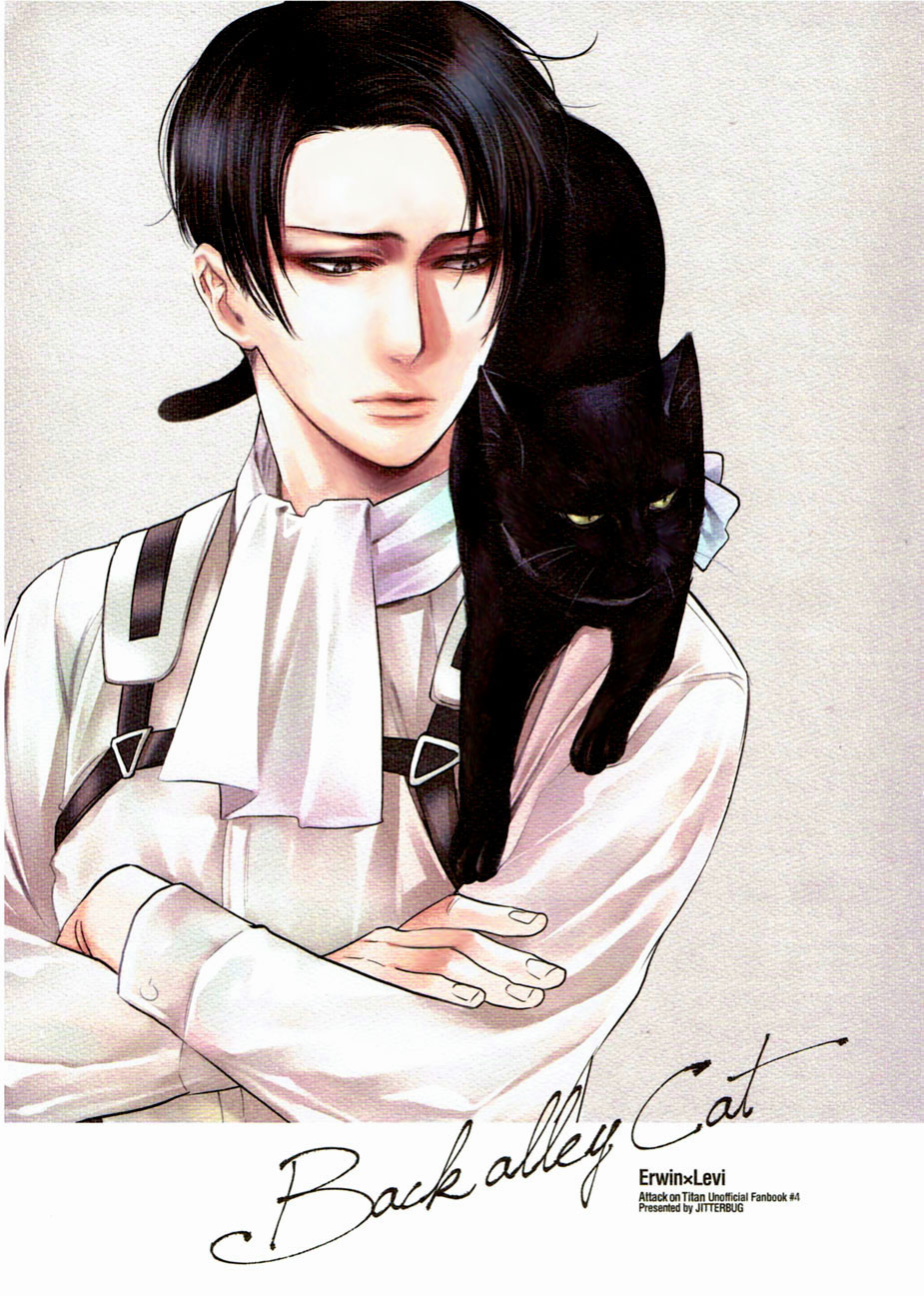 Shingeki no Kyojin Back Alley Cat (Doujinshi) Oneshot
