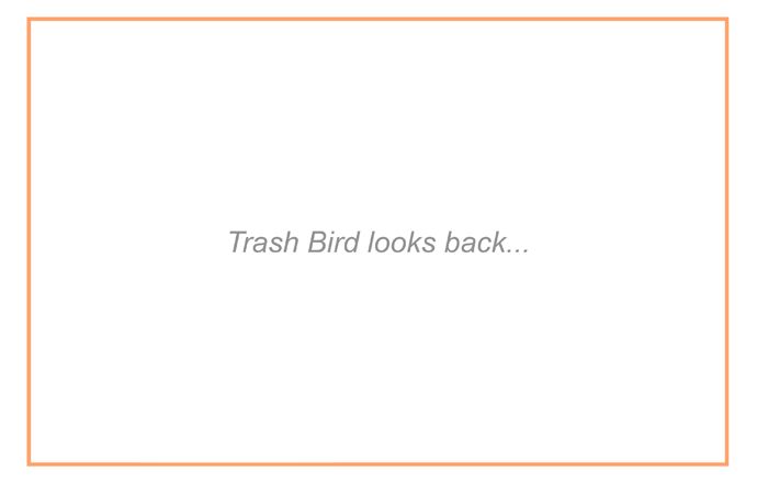 Trash Bird 164