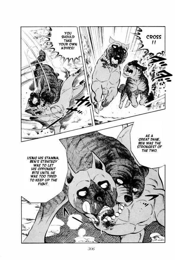 Ginga: Nagareboshi Gin Vol. 2 Ch. 13 The Three Demon Dog Kai Brothers!