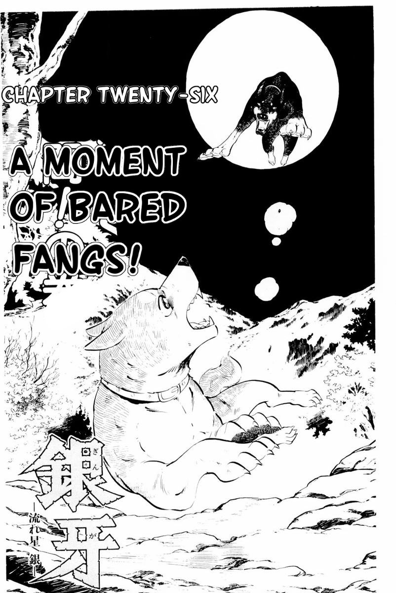 Ginga: Nagareboshi Gin Vol. 5 Ch. 26 The Moment of Bared Fangs!