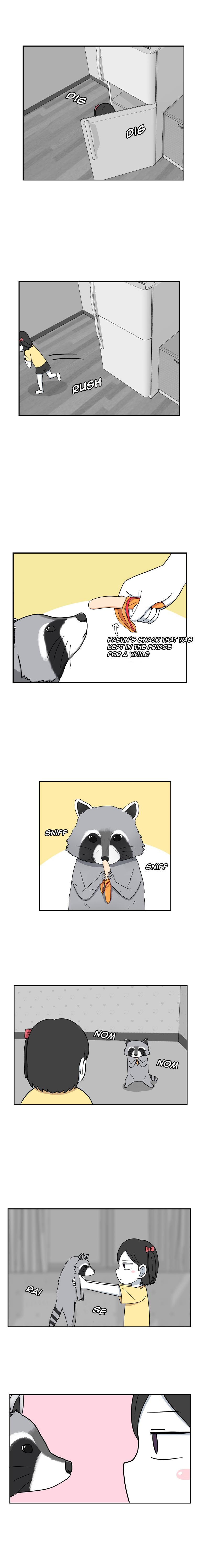 The Daily Lives of Us Siblings Vol. 1 Ch. 30 Tanukis aren't Raccoons.