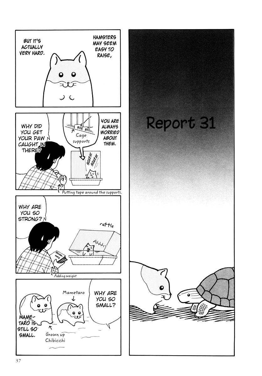 Hamster no Kenkyuu Report Vol. 4 Ch. 31 Report 31