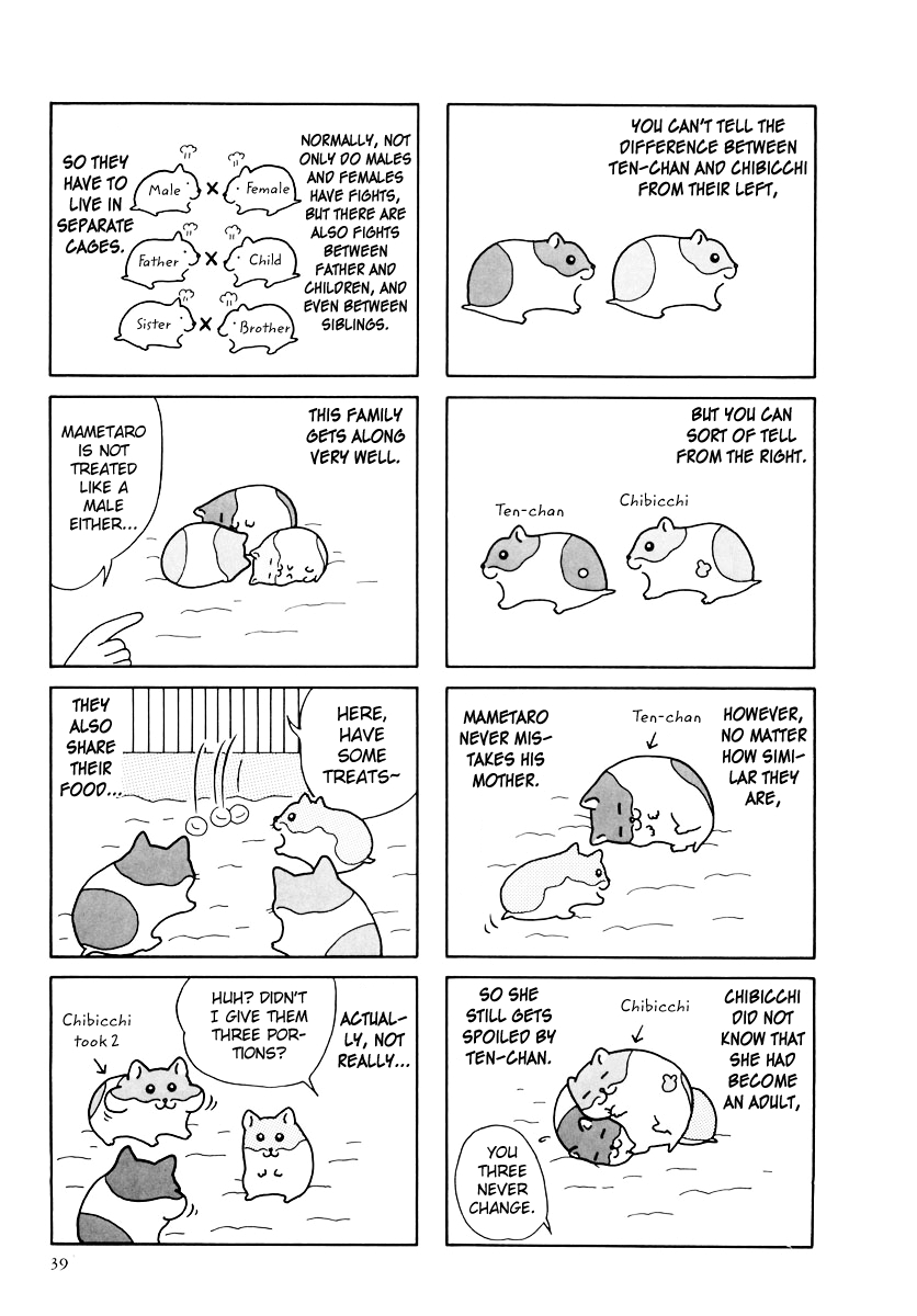 Hamster no Kenkyuu Report Vol. 4 Ch. 31 Report 31