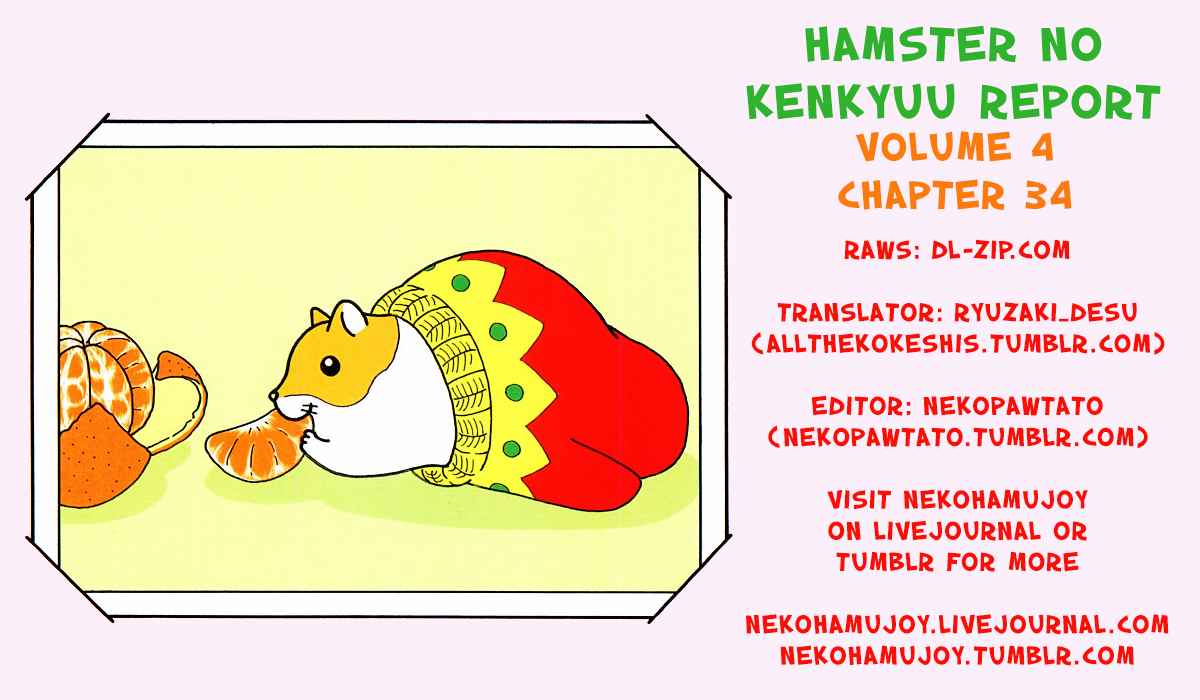 Hamster no Kenkyuu Report Vol. 4 Ch. 34 Pooh's Family