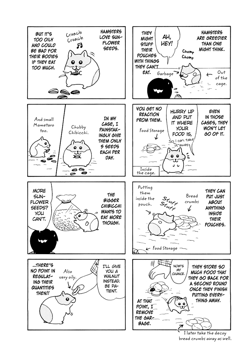 Hamster no Kenkyuu Report Vol. 4 Ch. 35 Continuing
