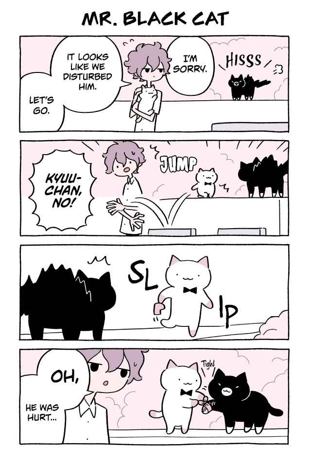 Wonder Cat Kyuu chan Vol. 4 Ch. 404 Mr. Black Cat
