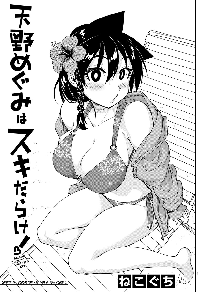 Amano Megumi wa Suki Darake! Ch. 134